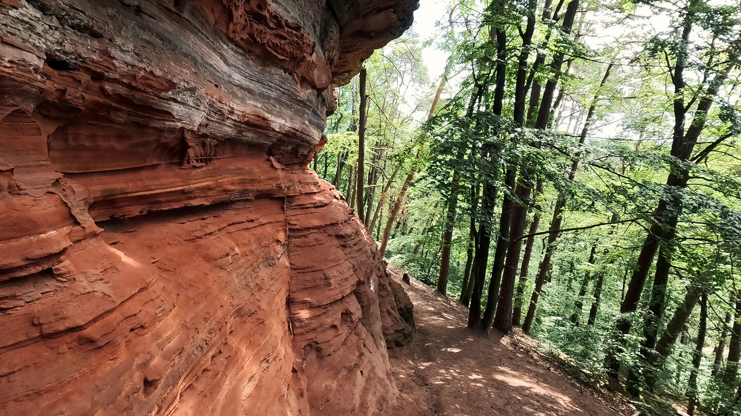 Buntsandsteinfelsen entlang der Altschlossfelsen Buntsandsteinfelsen entlang der Altschlossfelsen
