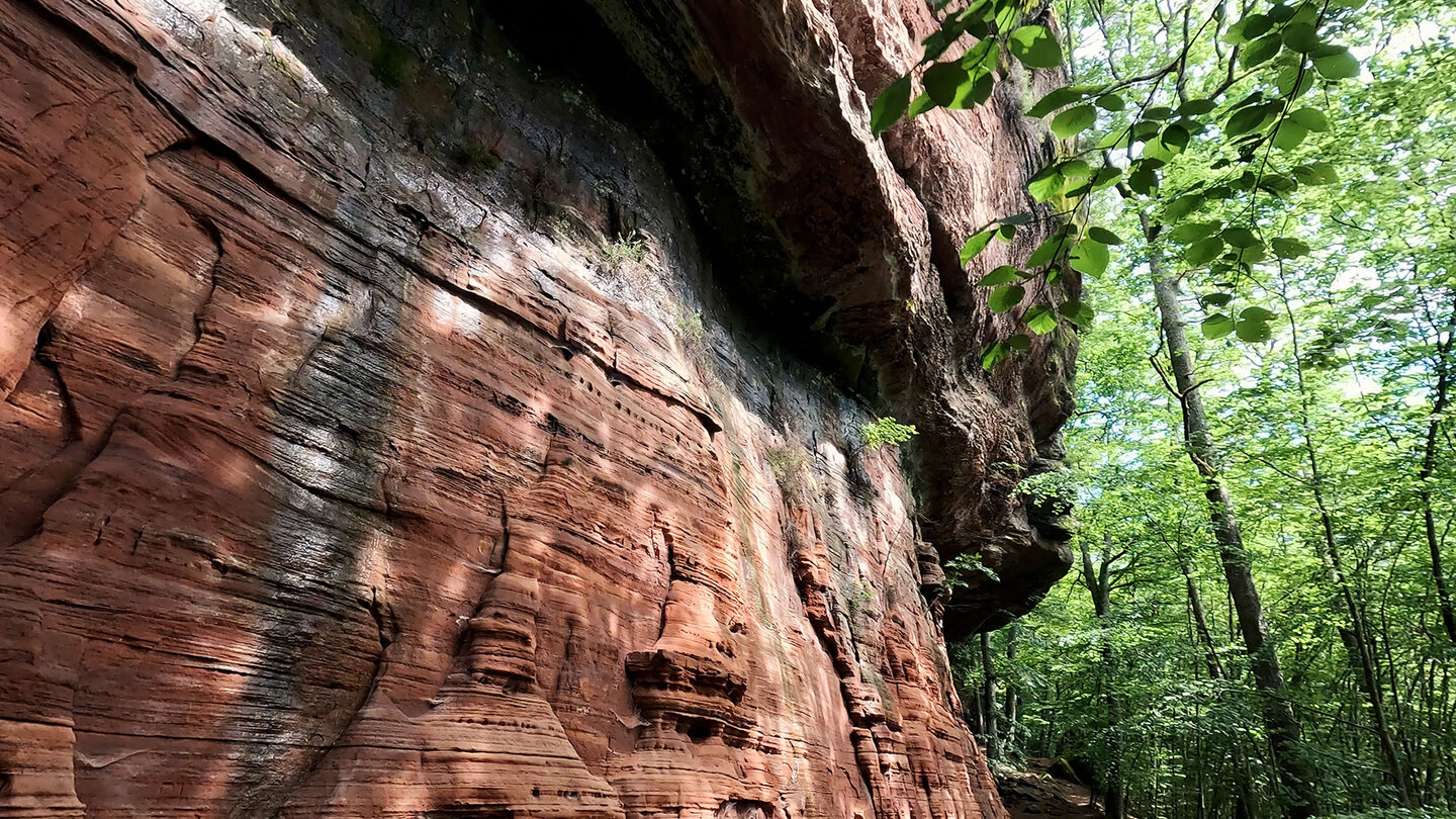 Ein Naturjuwel: das Sandsteinriff der Altschlossfelsen bei Eppenbrunn Naturjuwel Altschlossfelsen