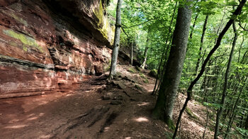 Wanderung in Nordvogesen und Pfälzerwald