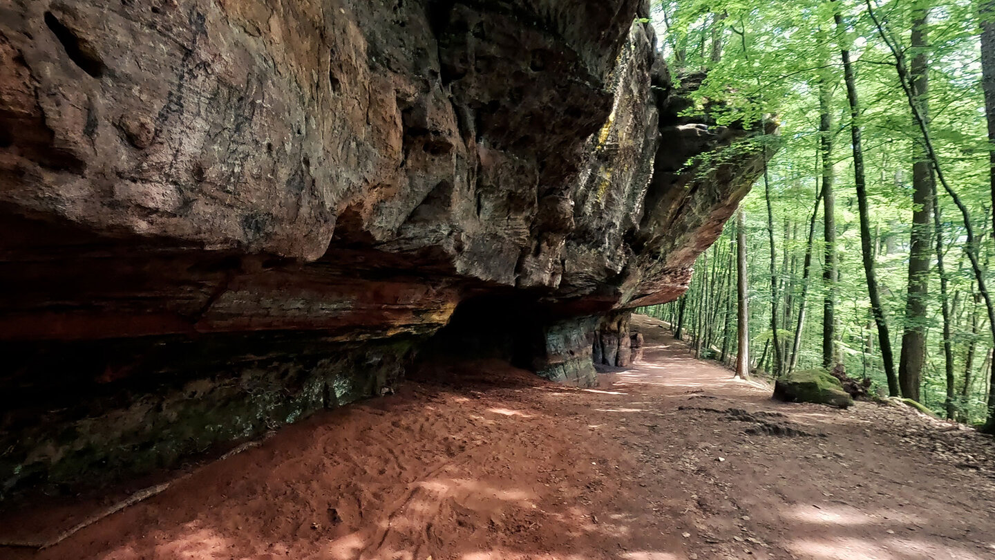 Wanderung unterhalb der Felsvorsprünge der Altschlossfelsen Wanderung unterhalb der Felsvorsprünge der Altschlossfelsen