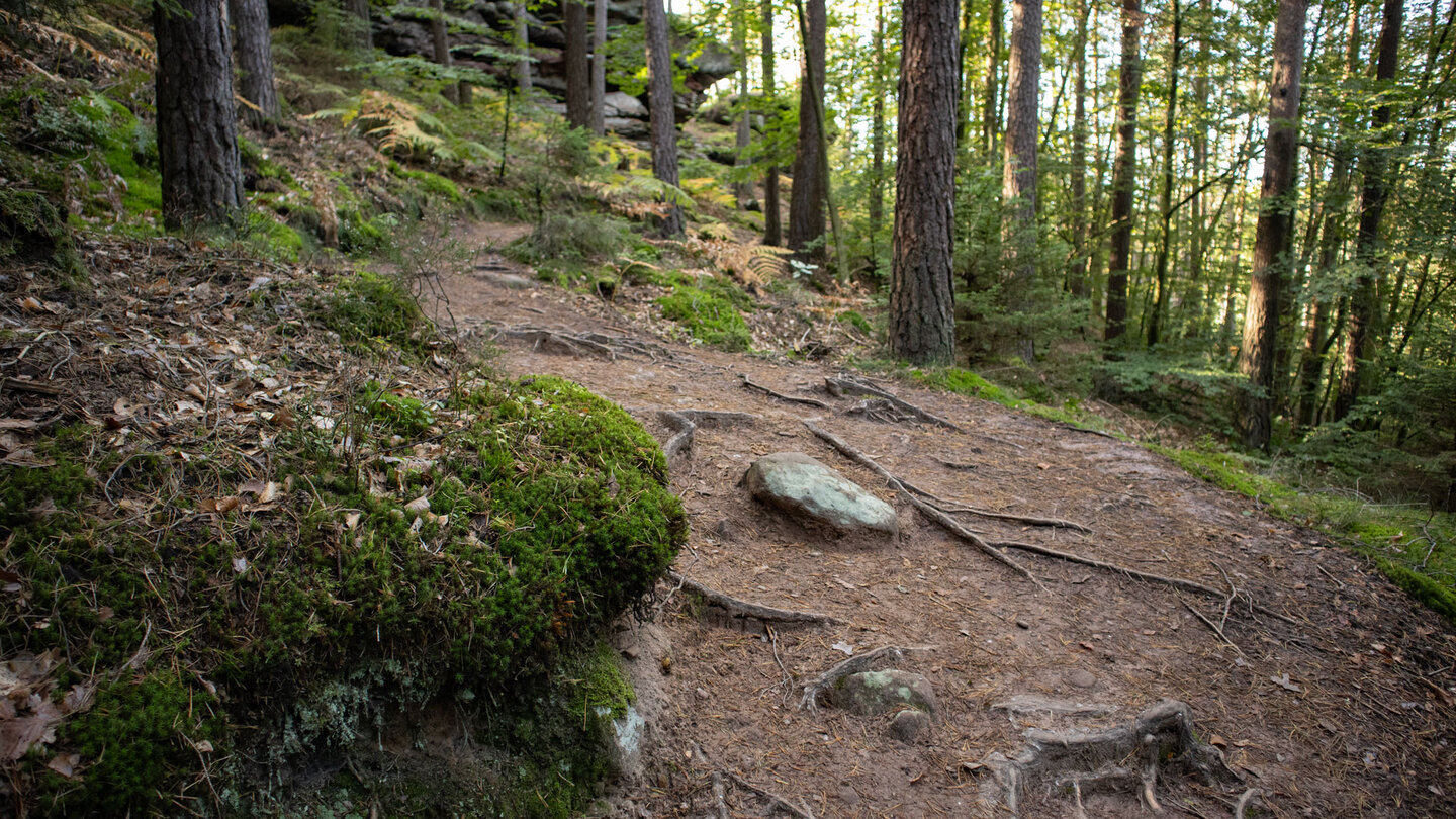 Wanderweg zum Schlangenfelsen