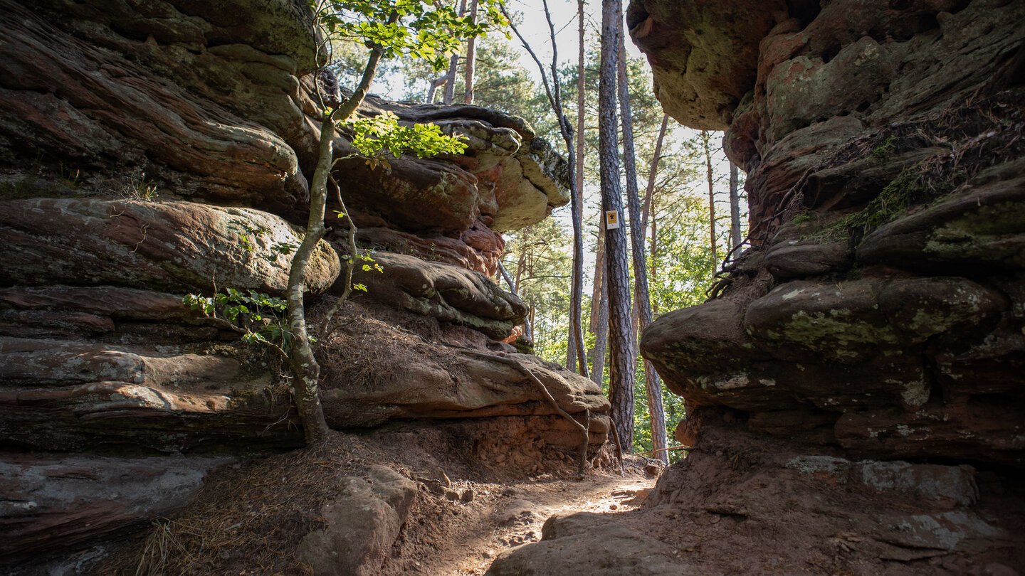 der Wanderweg führt durch eine Felsspalte am Rosskegelfelsen