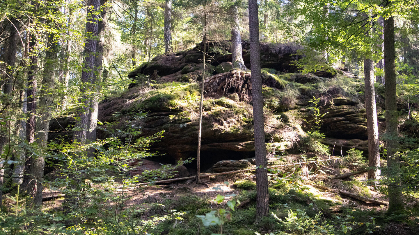Blick auf üppig bewachsene Felsen im Waldgebiet