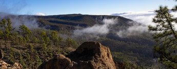 traumhafte Ausblicke über die Kiefernwaldzone der Insel Teneriffa