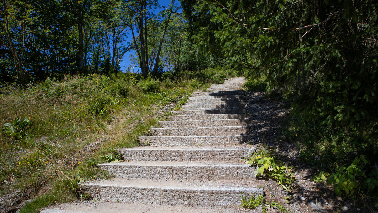 Aufsteig auf dem Seebuck
