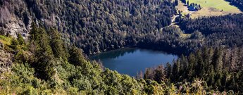 Blick auf den Feldsee