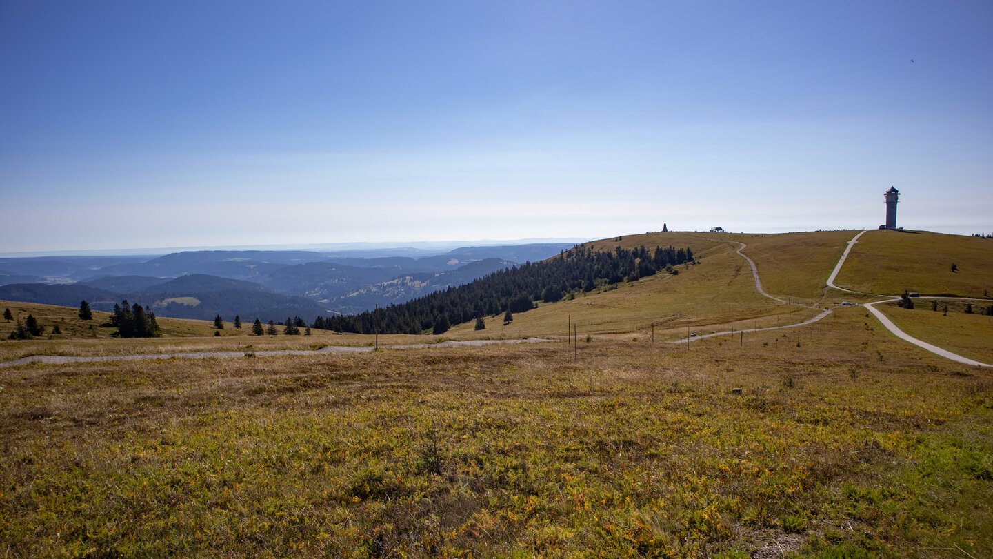 Blick zum Feldbergturm