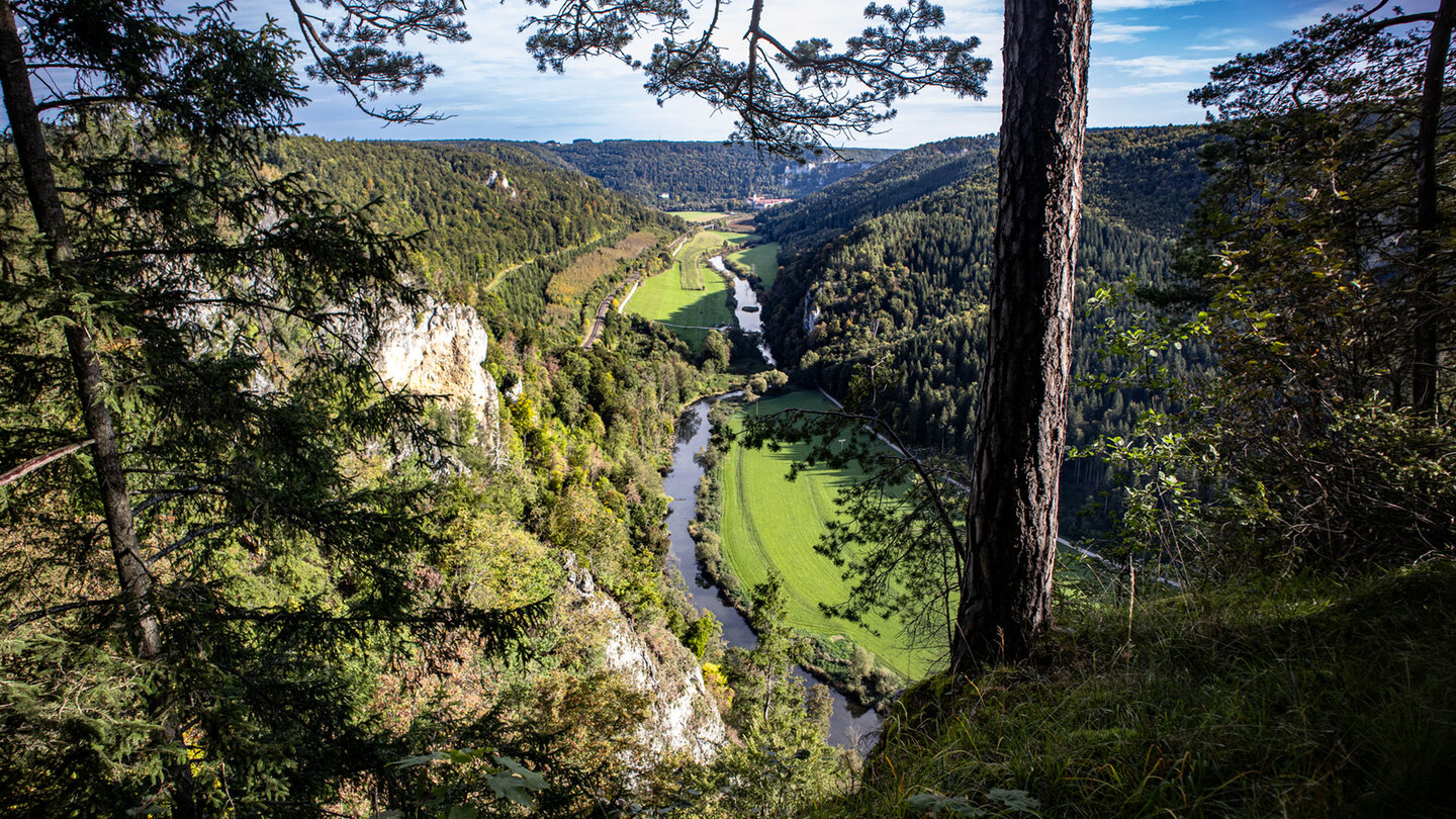 Blick über das Obere Donautal vom Knopfmacherfels, umrahmt von Nadelbäumen