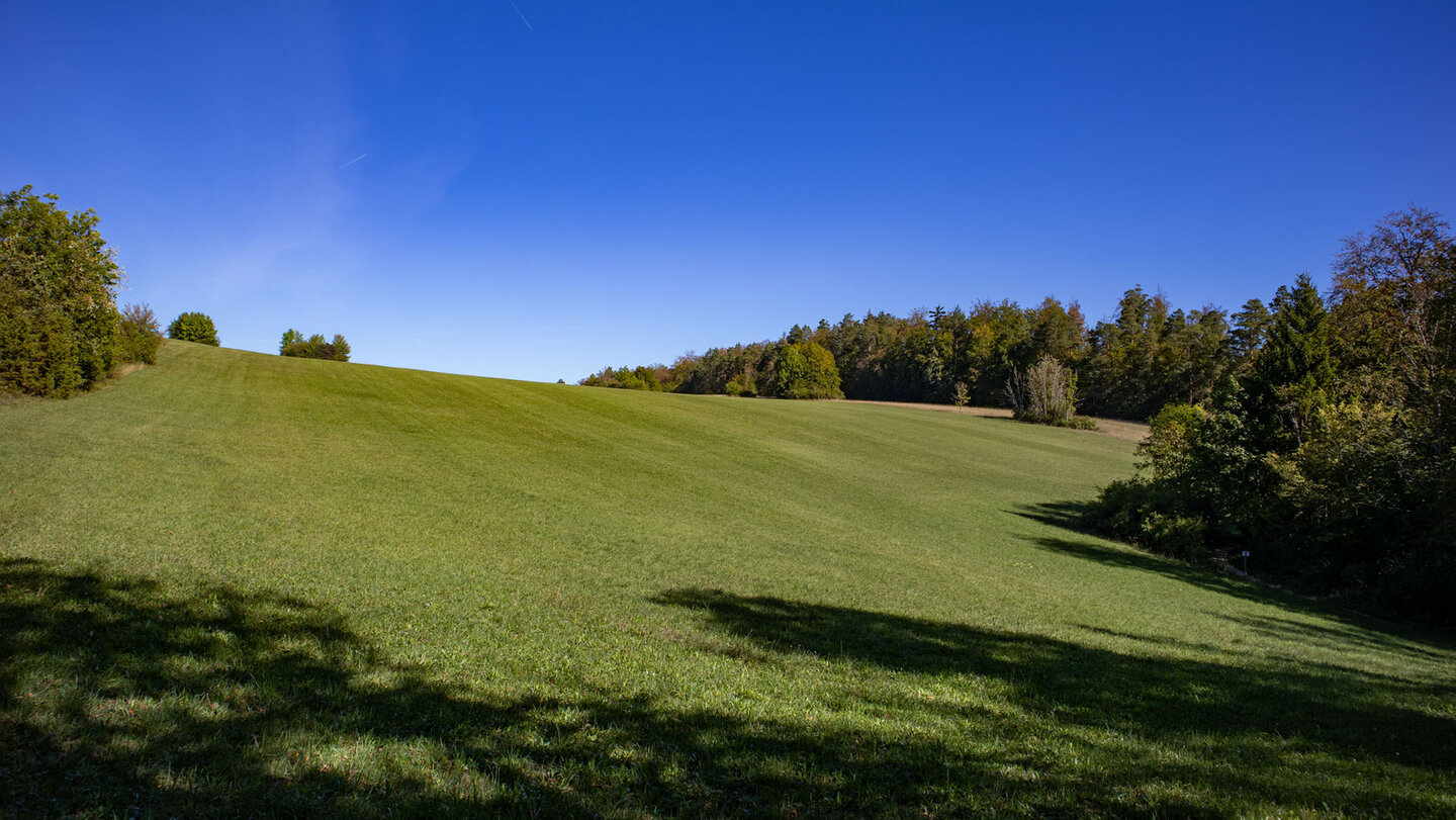 Grüne Wiesenlandschaft auf der Hochfläche nahe Stiegelesfels unter blauem Himmel