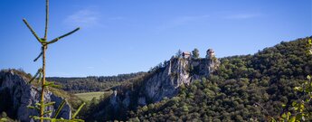 Schloss Bronnen auf einem Felsvorsprung im Oberen Donautal, umgeben von Wald