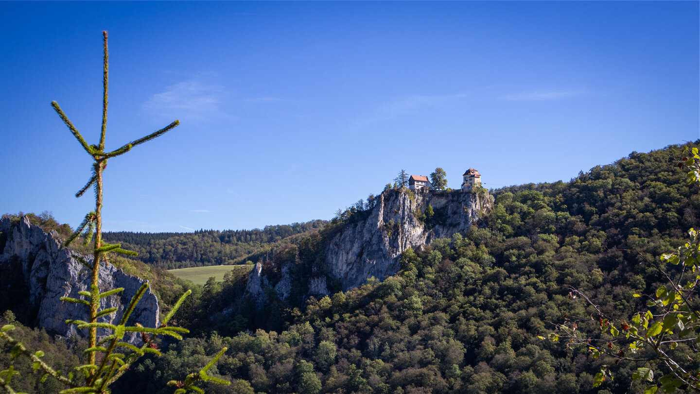 Schloss Bronnen auf einem Felsvorsprung im Oberen Donautal, umgeben von Wald