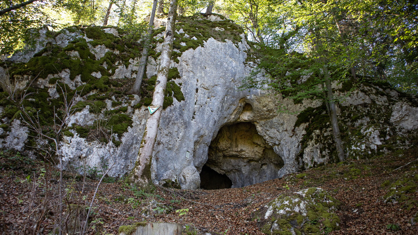 Dunkles Portal der Sperberloch-Höhle zwischen Bäumen und Fels