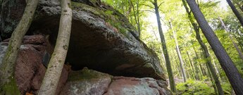 Teufelsfels bei Obersimten im Pfälzerwald
