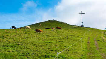 Wanderweg auf den Pferdskopf