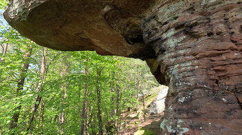 unterhöhlter Felsen des Bayrisch Windstein