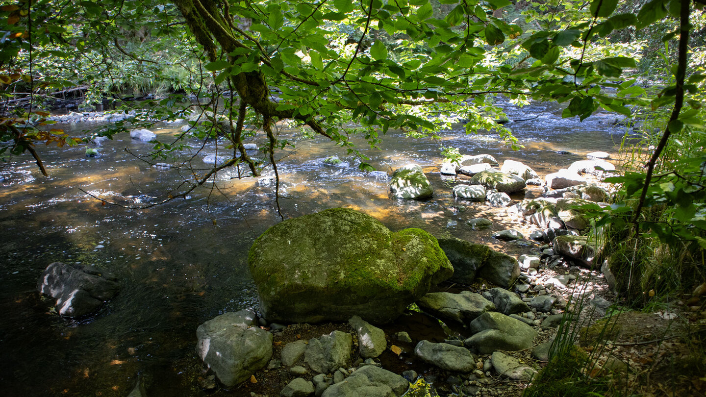 Wasser der Wutach in Ufernähe