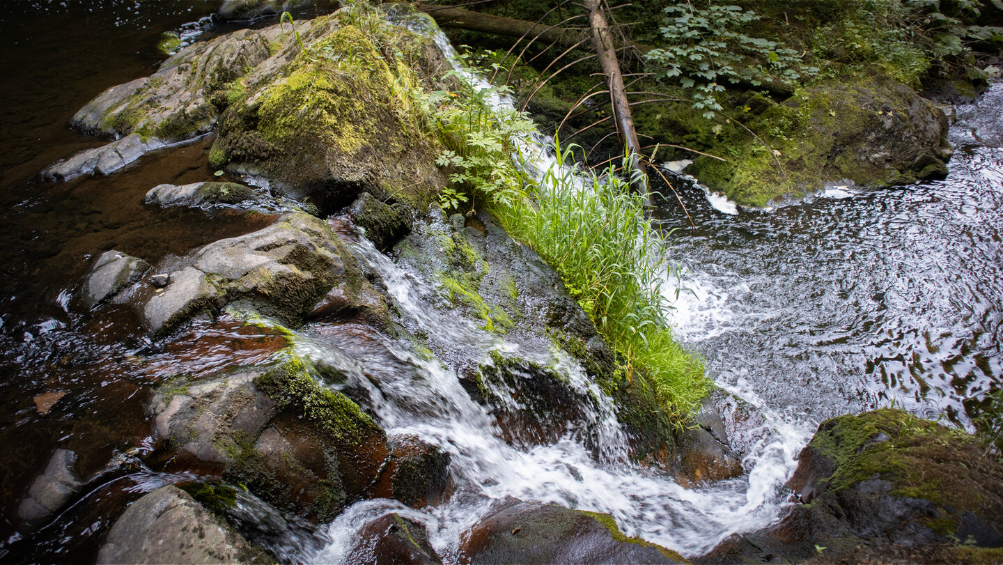 Kaskade in der Rötenbachschlucht