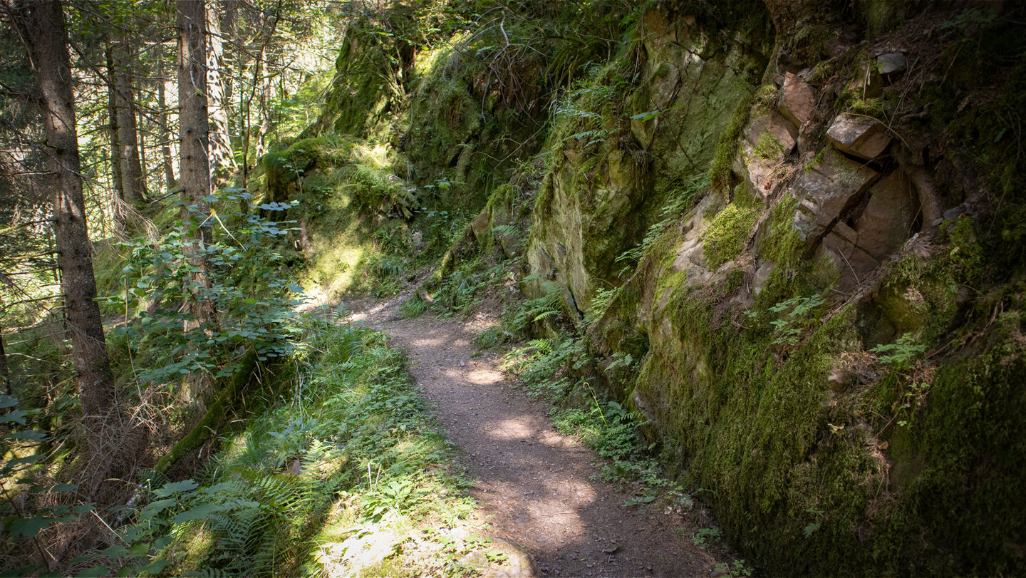 Wanderung folgt der Rötenbachschlucht
