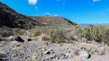 trockenes Bachbett im Barranco de Tajo