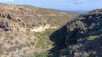 die Wanderung führt entlang Schluchten der Südostküste Teneriffas