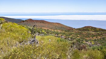 Ausblick über den Montaña de Guamaso auf den Ozean