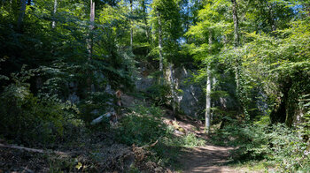 Kalksteinfelsen am Wegesrand an der Wolfsschlucht