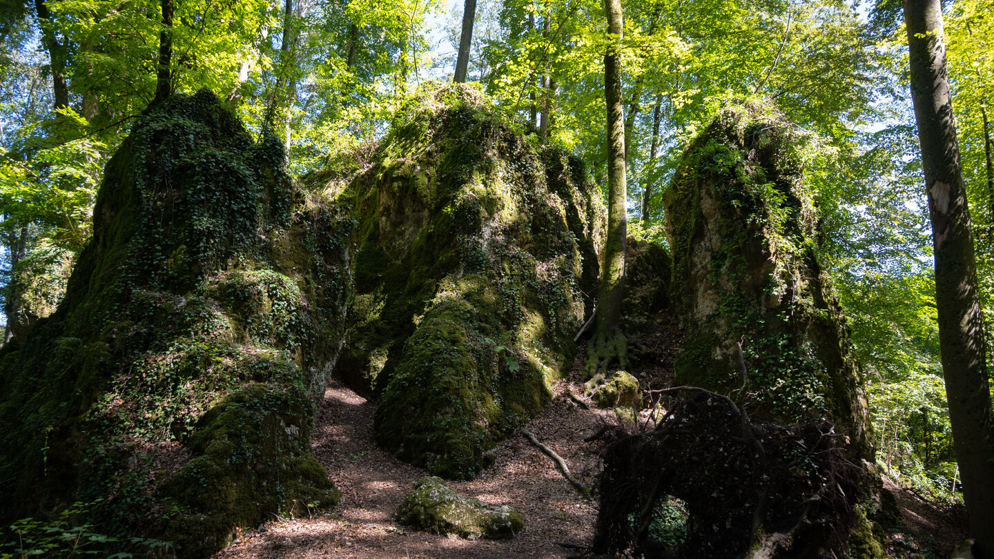 meterhoch ragen die verwitterten Kalksteinformationen in der Wolfsschlucht