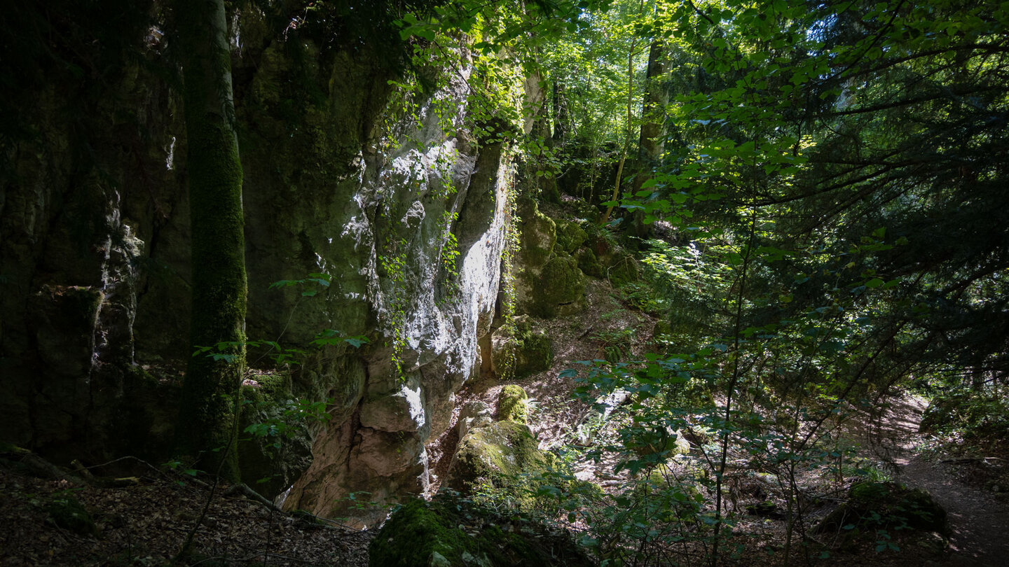 mystische Landschaft zwischen moosbewachsenen Jurakalk-Felsen