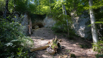 Kalksteinfelsen mit kleiner Höhle zwischen alten Buchen