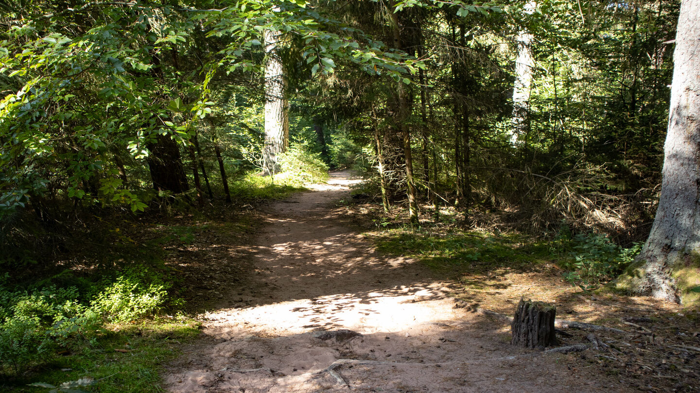 die Wanderung verläuft auf sandigen Wegen