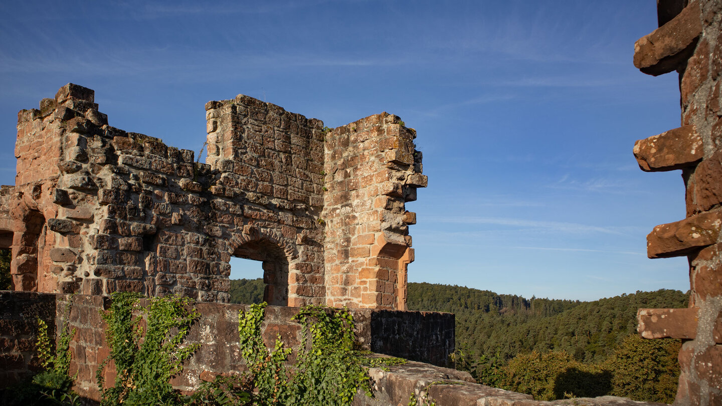 Blick über die Mauerreste der Ruine Neudahn
