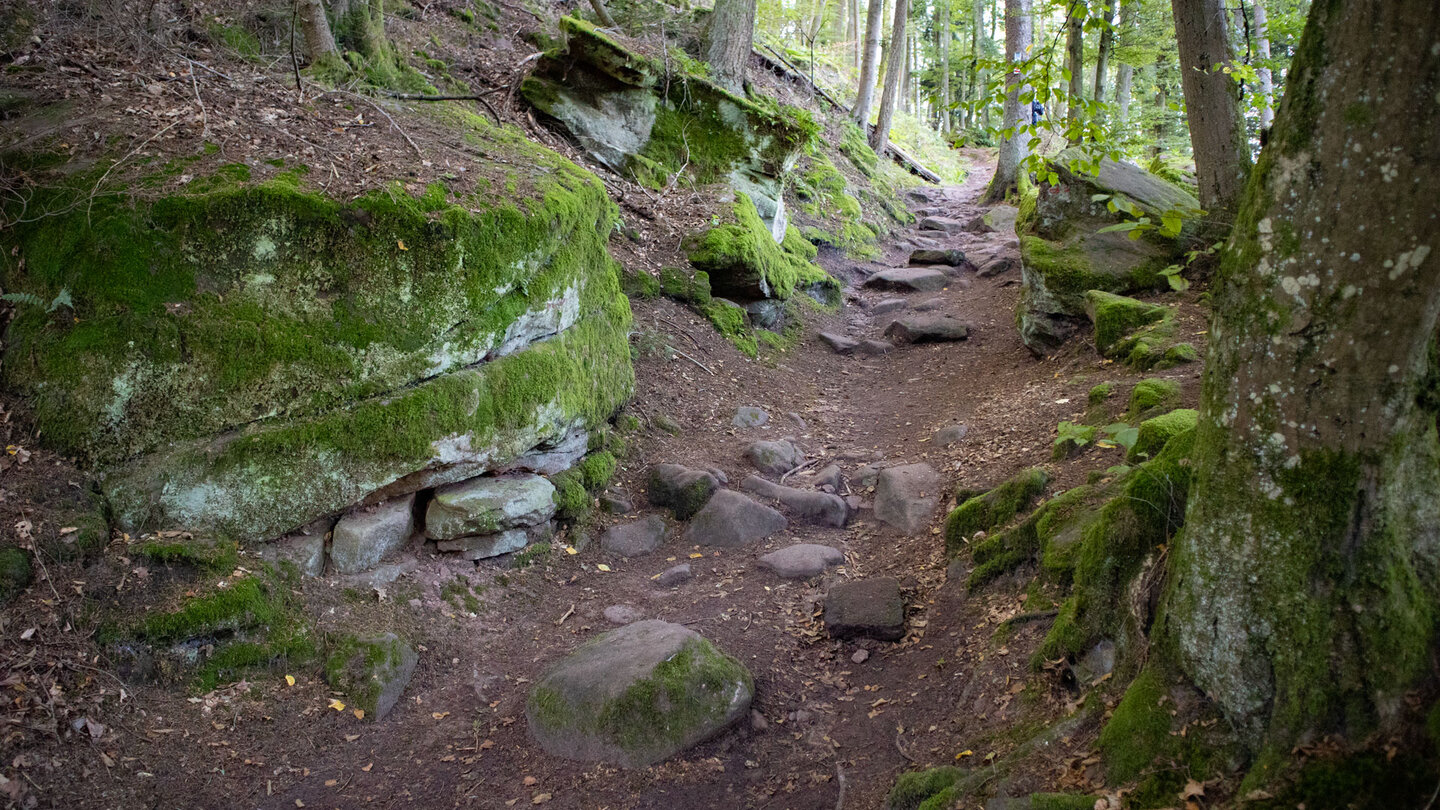 bemooste Steine am Wanderweg zwischen Neudahn und Felsentor