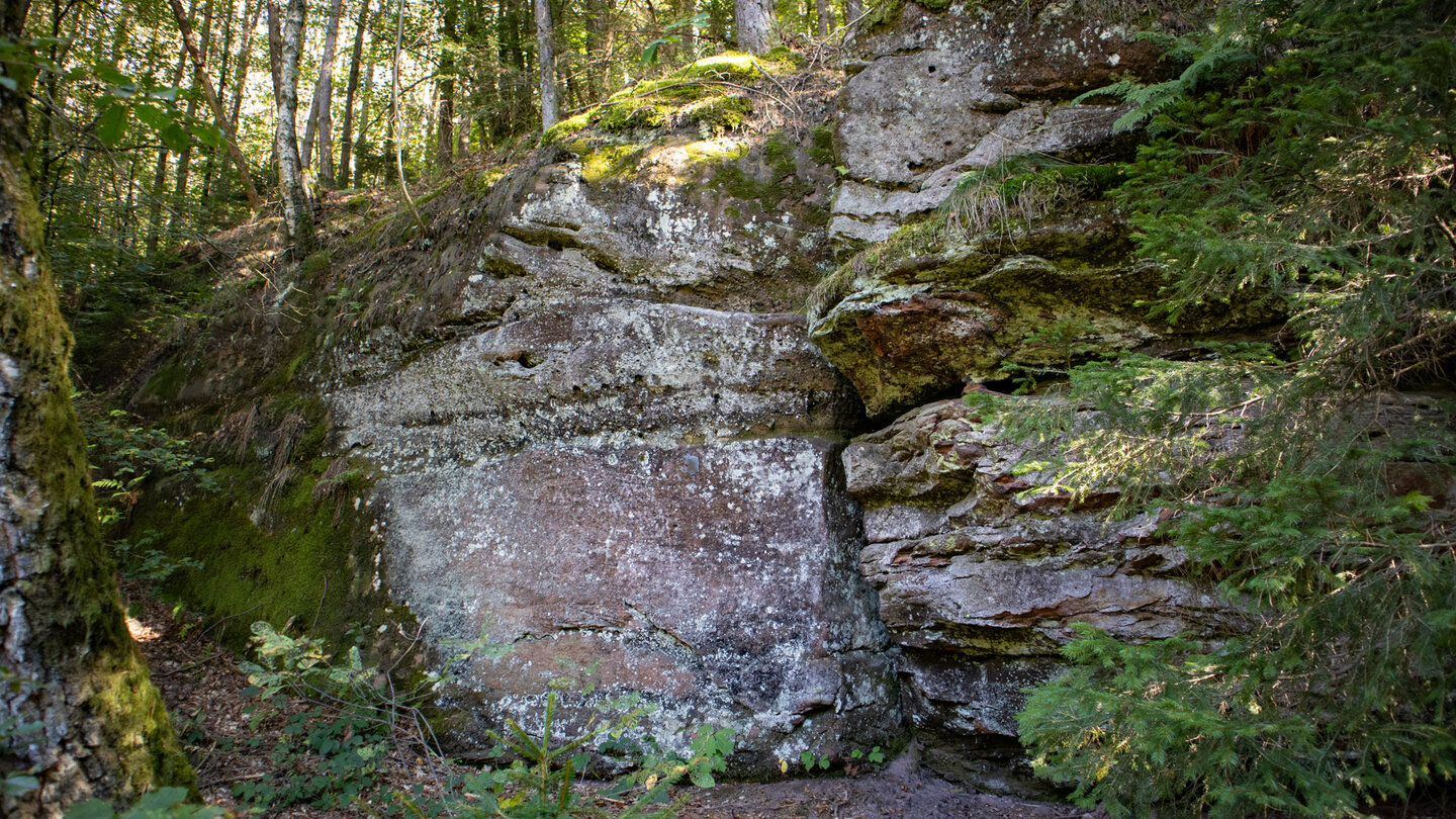 Buntsandsteinfelsen im Moosbachtals