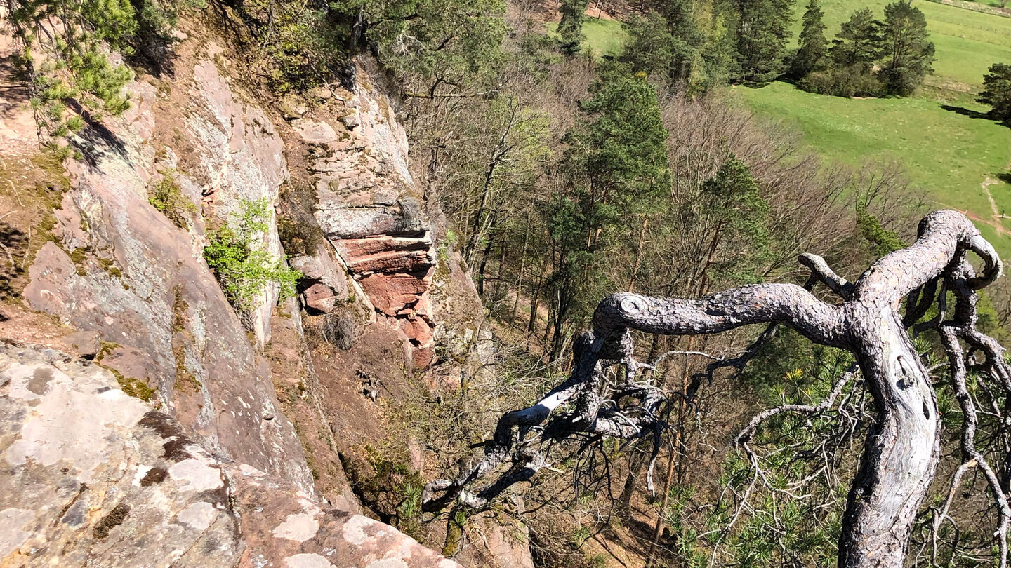 Blick auf die Steilwände am Wachtfels