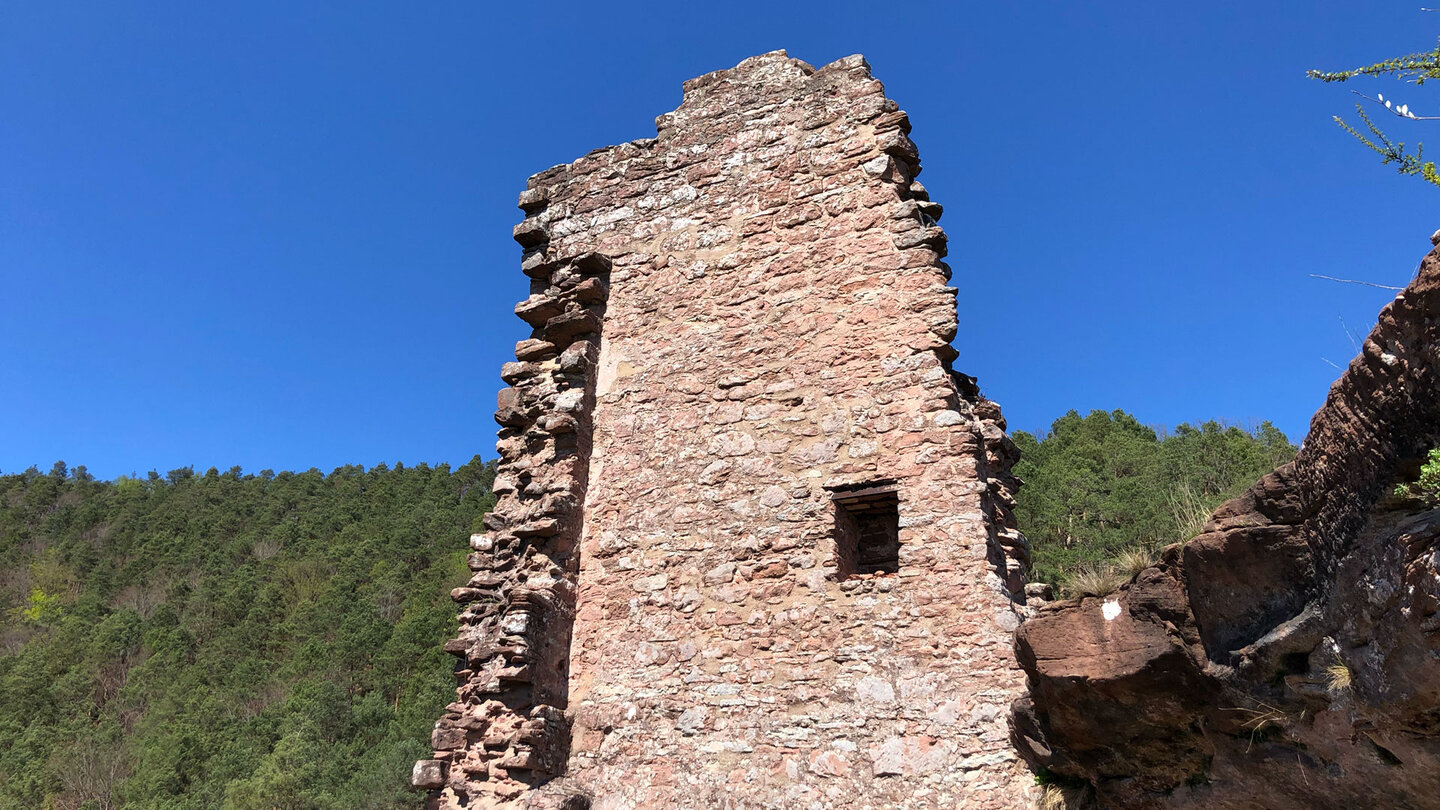 Turm der Ruine Klein-Arnsberg