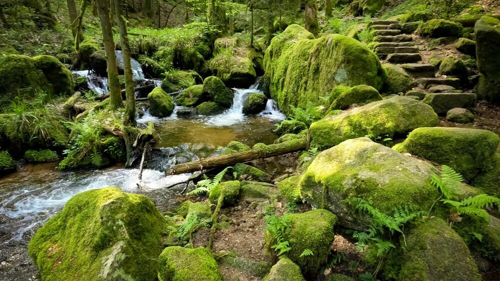 der Wanderweg entlang des Gertelbach