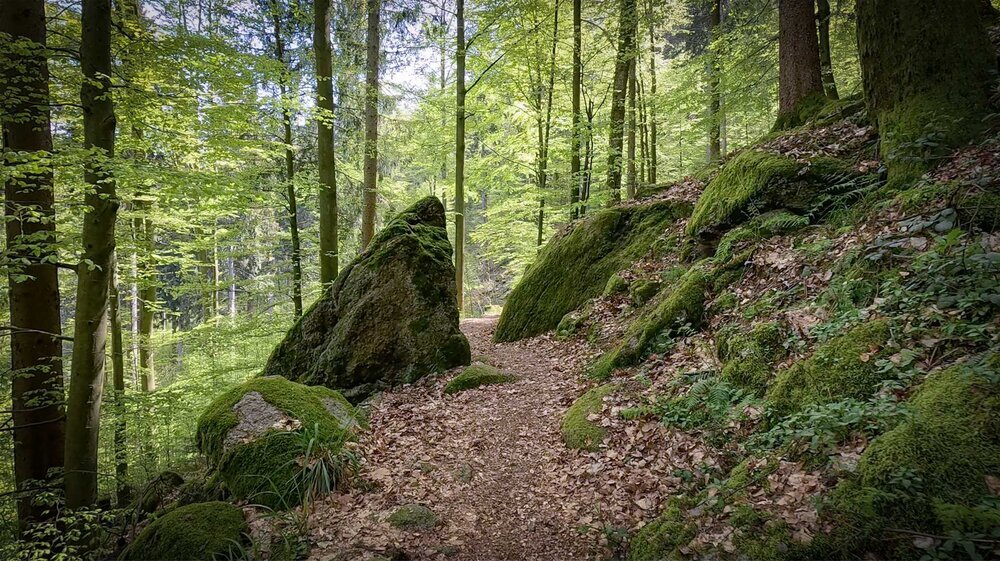 Wanderweg zu den Eulenfelsen