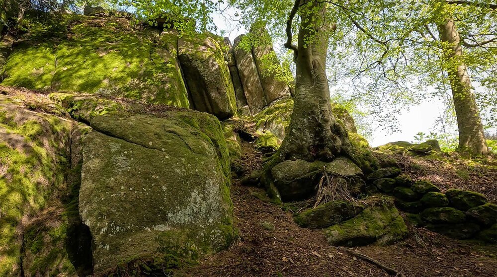 Wanderweg beim Wiedenfelsen