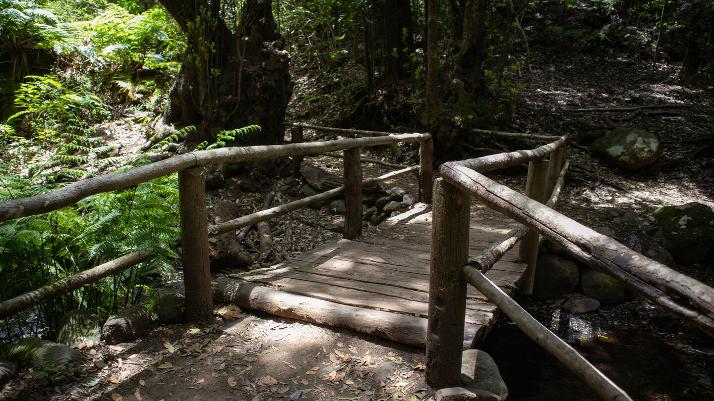 die Route führt über eine Holzbrücke zur Überquerung des Bauchlaufs im Barranco del Cedro