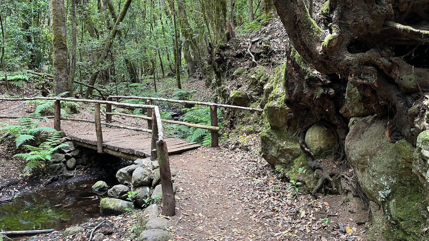 die Tour führt über mehrere Holzbrücken am Bach im Barranco del Cedro