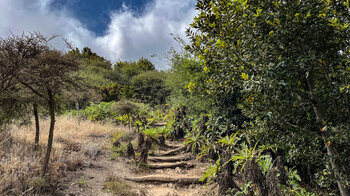 Abwanderung zum Ausgangspunkt der Wanderung beim Cruce de Pajarito