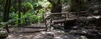 der Wanderweg quert den Bachlauf im Barranco del Cedro über Holzbrücken