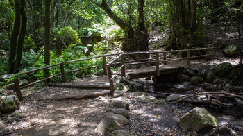 der Wanderweg quert den Bachlauf im Barranco del Cedro über Holzbrücken