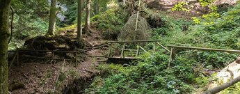 Wanderweg von Loffenau zur Teufelsmühle