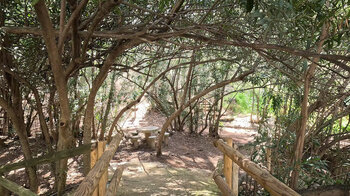 Area Creativa Cuadros - Erholungsgebiet Adelfal im Naturpark Sierra Mágina