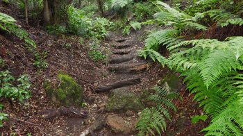 mit Holzstufen befestigter Wanderweg Camino de La Llania