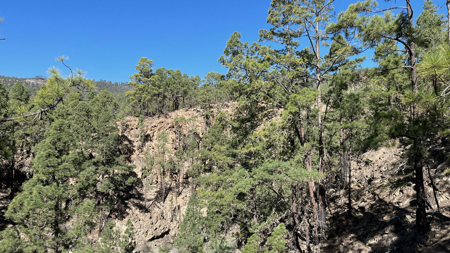 Blick vom Wanderweg oberhalb der Schlucht Barranco de la Puente