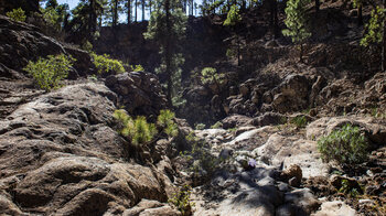 Durchquerung der Schlucht Las Yedras auf dem Wanderweg