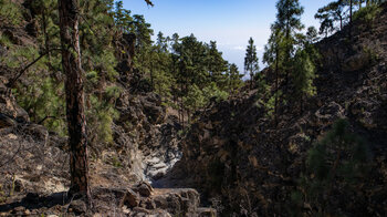 weiterer Einblick ins Barranco