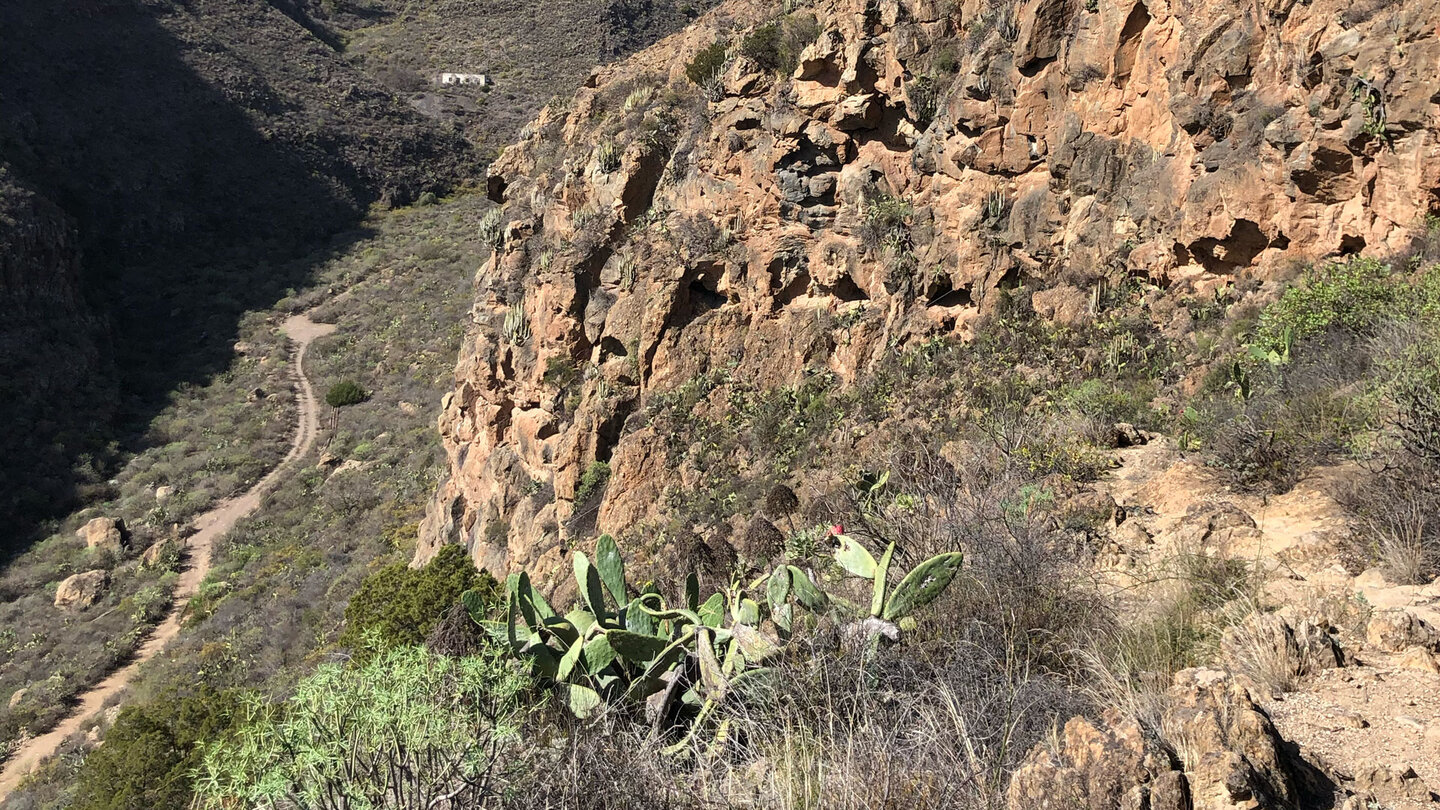 Abwanderung in die Tamadaya-Schlucht